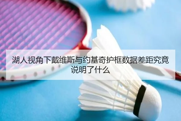 湖人视角下戴维斯与约基奇护框数据差距究竟说明了什么